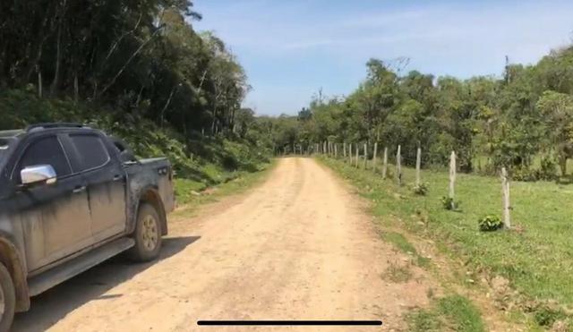 Chácara em São José dos pinhais bairro Castelhanos - Foto 12