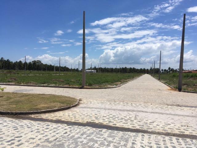 Terreno - Foto 4