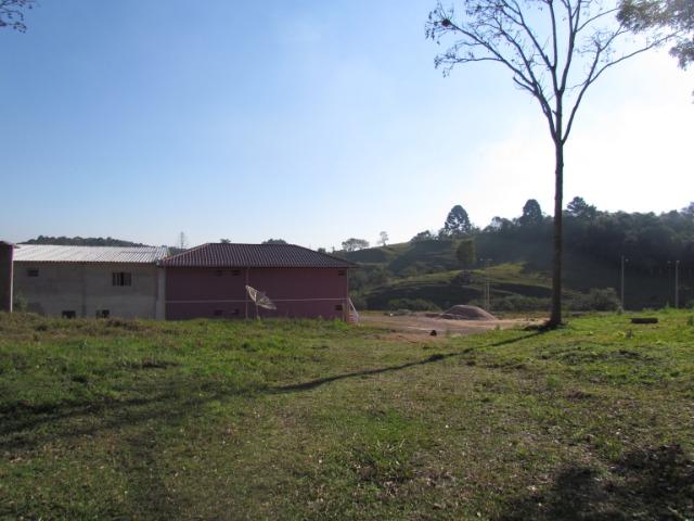 Chácara 4,5 Alqueires para Eventos - Mandirituba - Foto 4