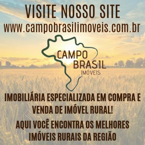 Oportunidade rural! Sítio de 8,5 alqueires todo aproveitável! - Foto 8