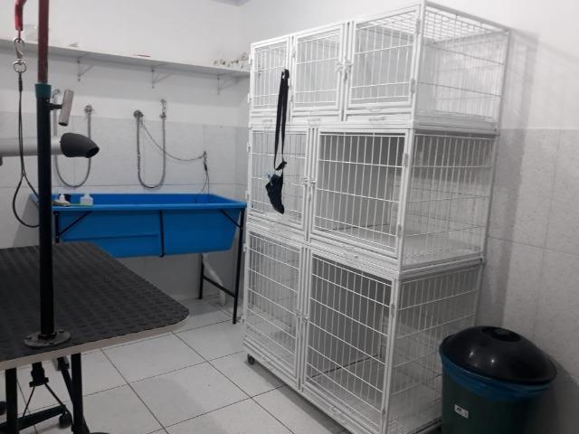 Passo Petshop - TURU - Foto 5