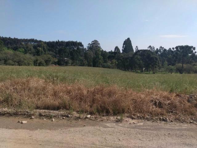 Lindo terreno para chácara - Foto 2