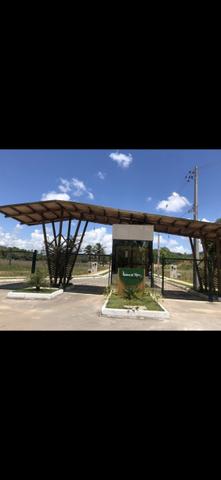 Lote em São Miguel dos Milagres - Foto 8