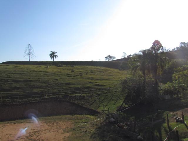 Chácara 4,5 Alqueires para Eventos - Mandirituba - Foto 11