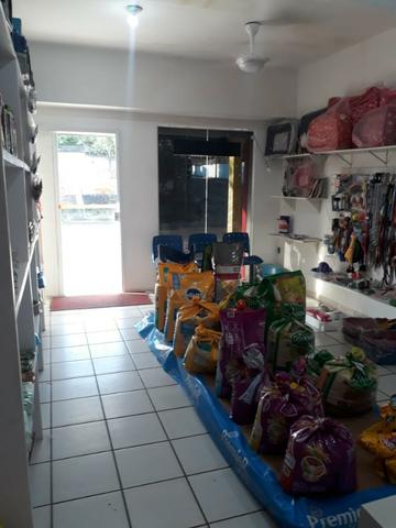 Passo Petshop - TURU - Foto 8