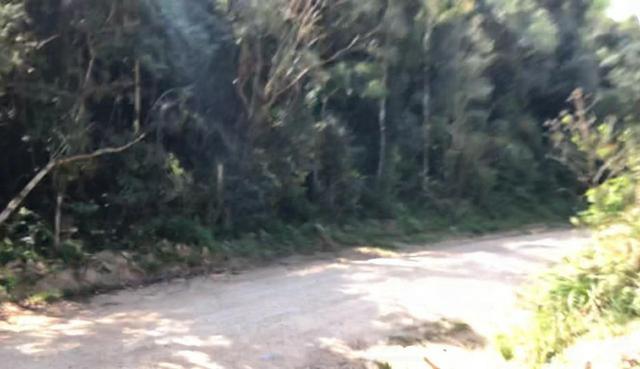 Chácara em São José dos pinhais bairro Castelhanos - Foto 14