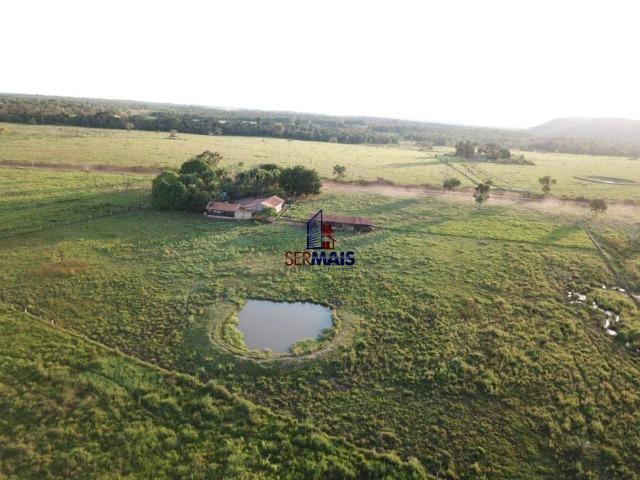 Fazenda à venda, 105 alqueires por R$ 2.625,000 - Alta Floresta D'Oeste/RO - Foto 5