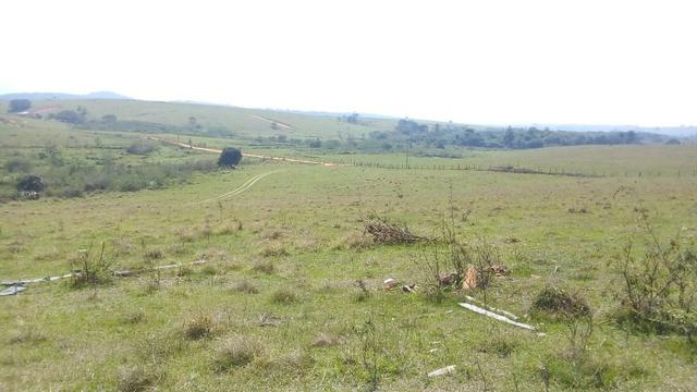 Vendo belíssima fazenda em são vicente 330 alqueires - Foto 10