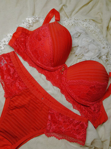 peças intimas femininas