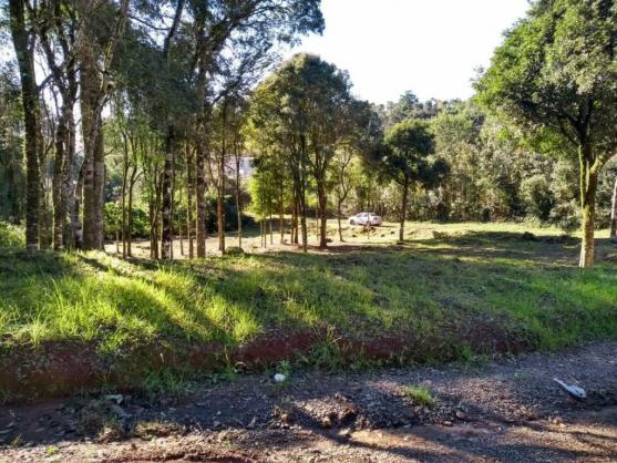 Terreno - Bairro Vale dos Pinheiros - Foto 4