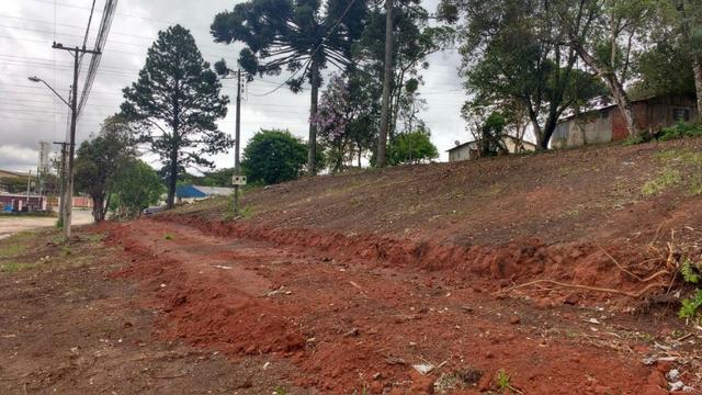Terreno para Barracões e Oficas Ótima Localização CIC/ BR 277 - Foto 4