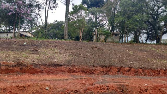 Terreno para Barracões e Oficas Ótima Localização CIC/ BR 277 - Foto 2