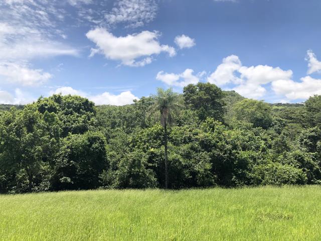 Chácaras de 20 mil Mt a 50 km dê Goiânia! - Foto 7
