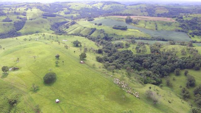 Fazenda - Foto 15