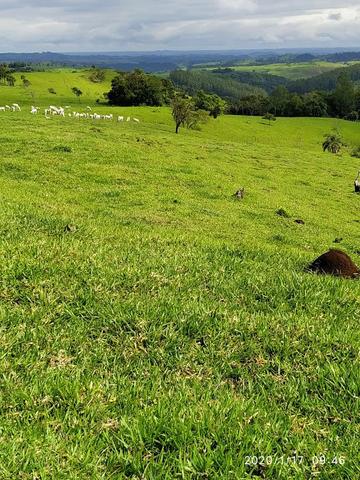 Fazenda - Foto 7