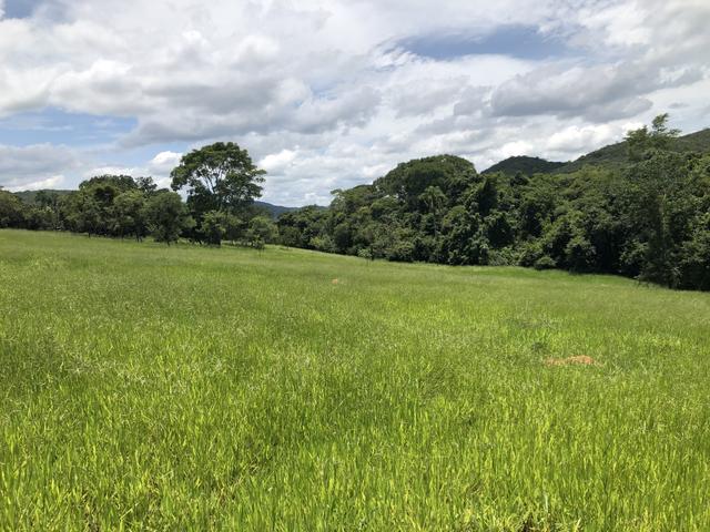 Chácaras de 20 mil Mt a 50 km dê Goiânia! - Foto 6