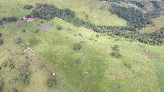 Fazenda - Foto 17