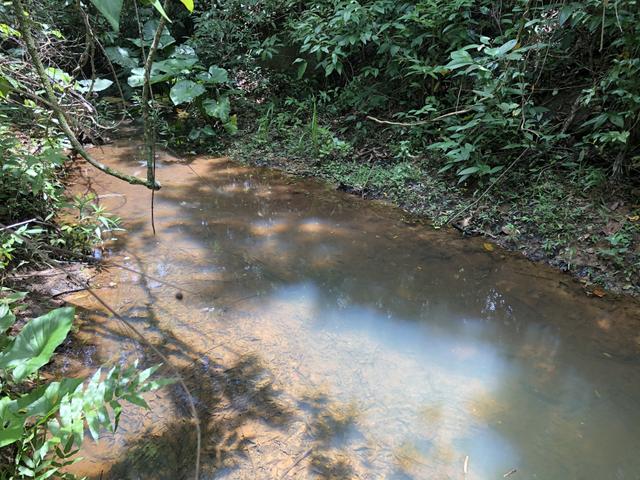Chácaras de 20 mil Mt a 50 km dê Goiânia! - Foto 14