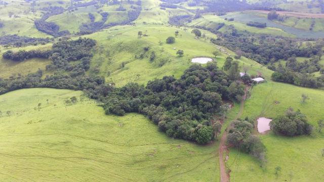 Fazenda - Foto 13