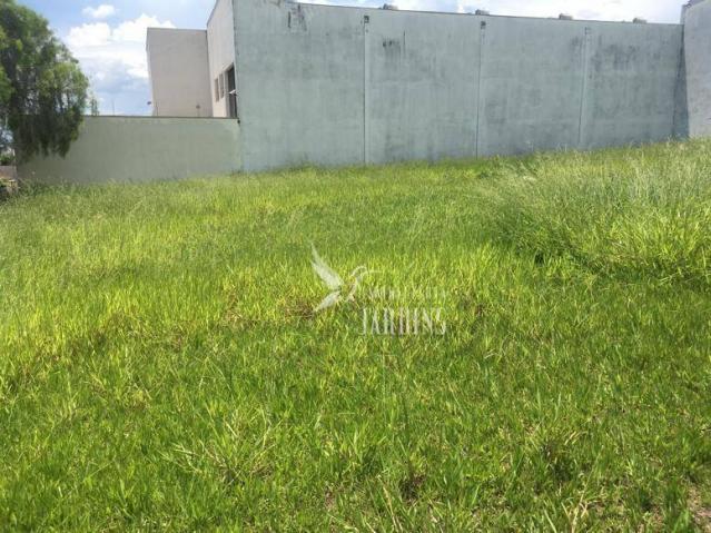Terreno para alugar, 369 m² por R$ 2.000/mês - Portal de Versalhes 1 - Londrina/PR - Foto 5