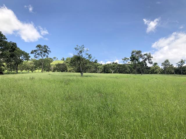 Chácaras de 20 mil Mt a 50 km dê Goiânia! - Foto 9