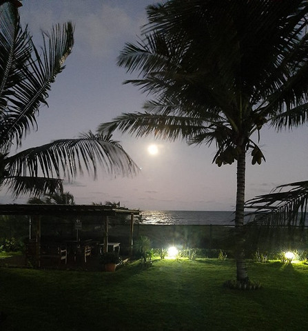 Itacimirim 3/4 (2 Suítes) - Pé na areia - Foto 10