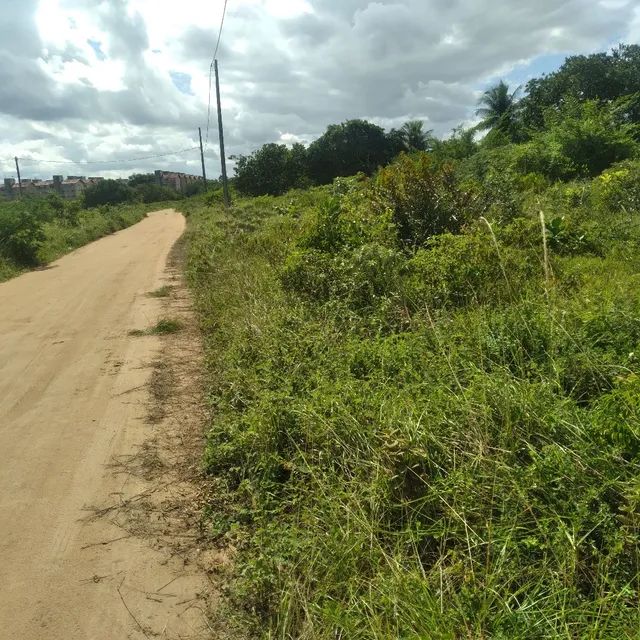_Oportunidade terreno pròximo ao Sim - Foto 2