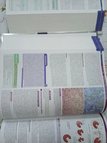 Goldman Cecil - Medicina - 2 Volumes - Foto 4