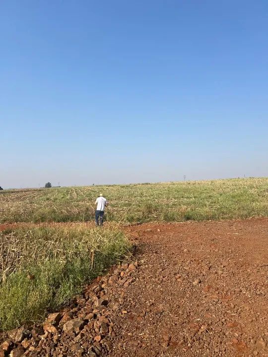 ÚLTIMAS CHÁCARAS DISPONÍVEIS ÀS MARGENS DO RIO TIBAGI PARCELADO - Foto 13