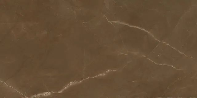 Porcelanato Eliane Marmo Brown 120x240 Polido (Lote 9 Caixas)