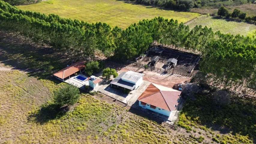 Fazenda em São Pedro do Piaui
