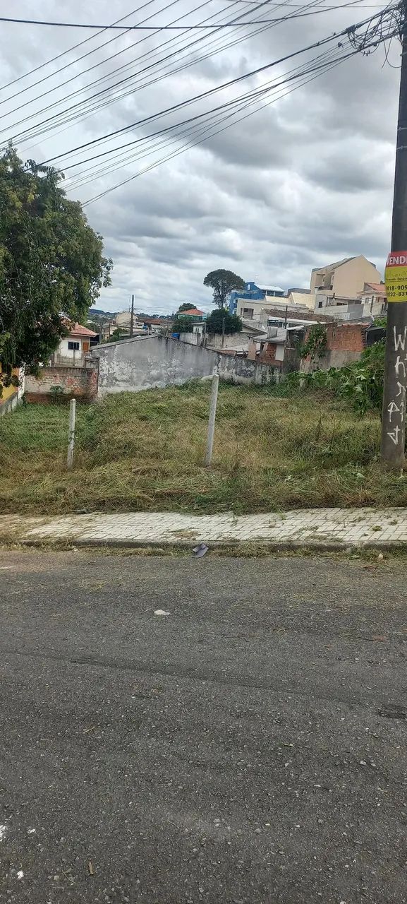 Limpeza de terreno. - Foto 2