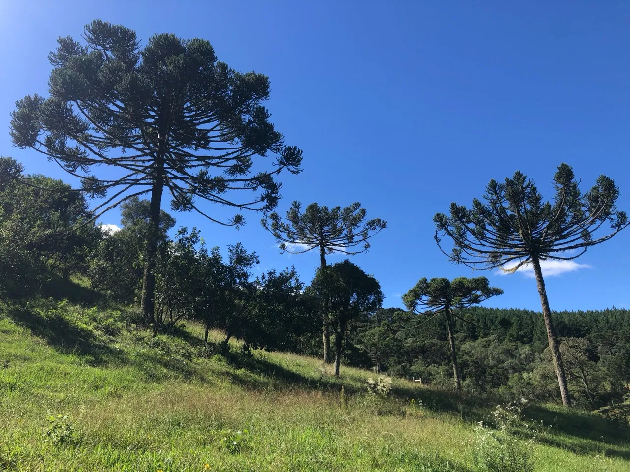 Portal da Serra - Terreno em Bom Retiro-SC