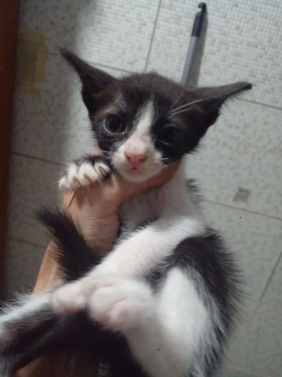 Doação disponível  - Foto 2