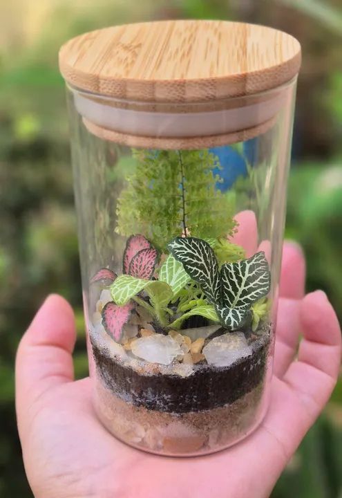 Jardim de Vidro - Miniatura Criativa - Foto 6