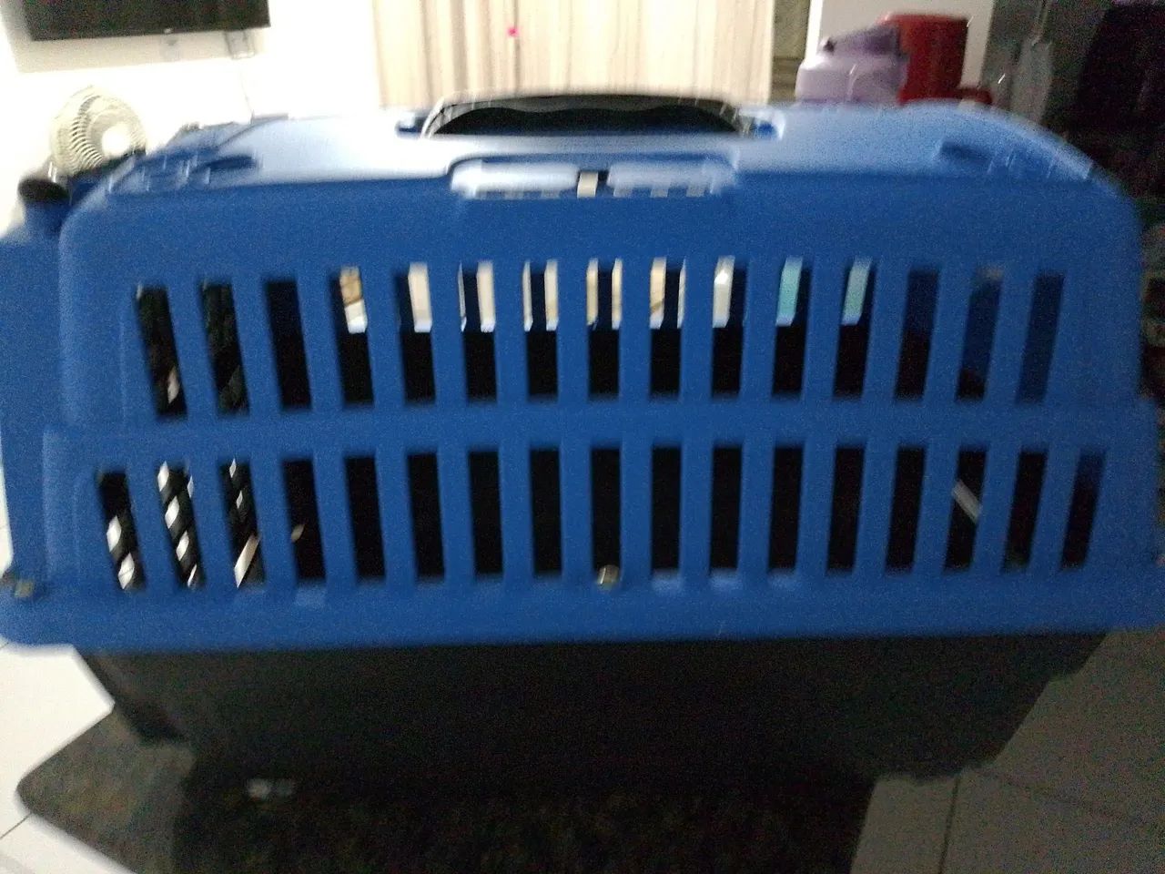 Caixa de Transporte para Pets por 70 estar novinha usada 1 vez só  falar Polyana *
