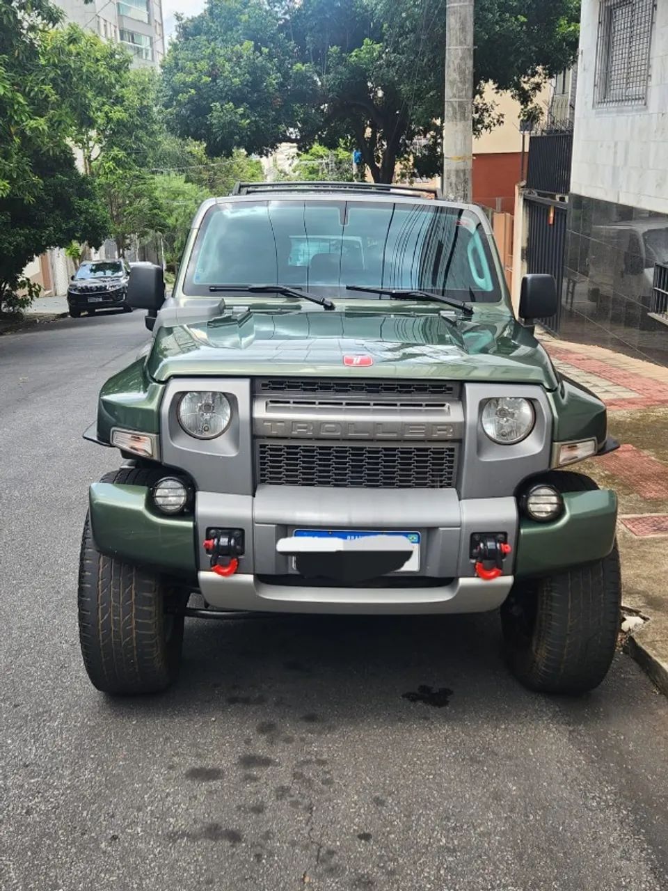 Troller T-4 2016 photo 3