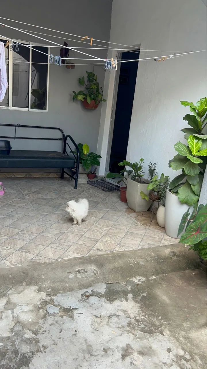 Foto - Betim - Jardim das Alterosas - 2ª Seção