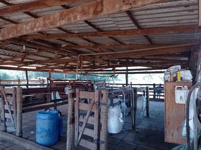 Fazenda à venda - 14 alqueires em Bela Vista de Goiás - diretamente com o proprietário - Foto 14