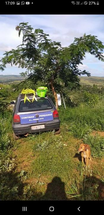 Vendo uma pequena roça de milho  - Foto 4