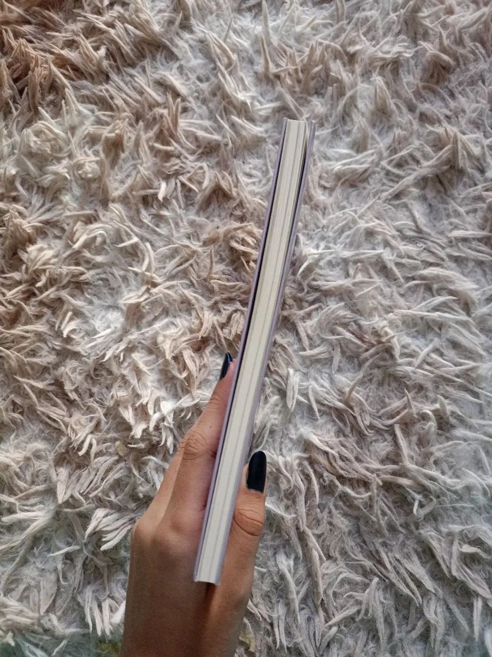 LIVRO: faça a sua coroa de gelo brilhar - Foto 4