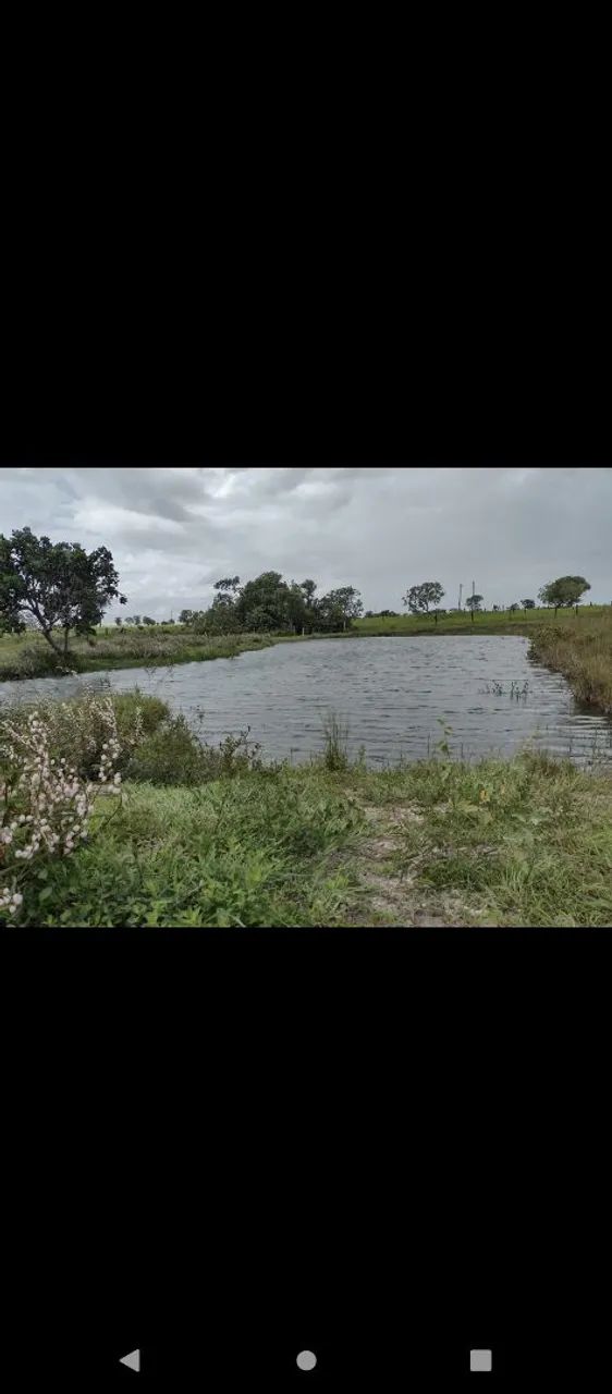 Fazenda Goiás - Mara Rosa  - Foto 5