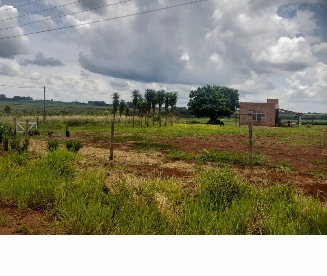 Sitio em sidrolandia eldorado2. Valor 370 mil - Foto 2