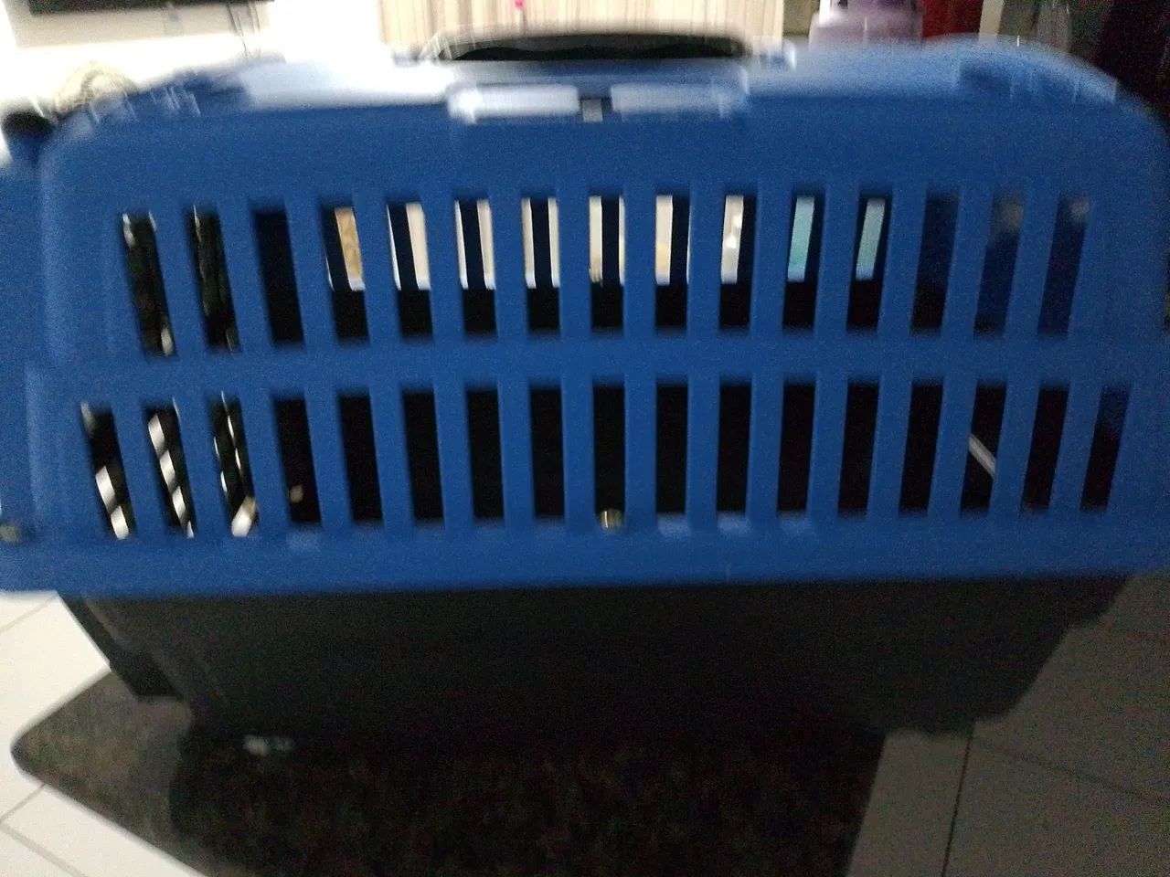 Caixa de Transporte para Pets por 70 estar novinha usada 1 vez só  falar Polyana * - Foto 4