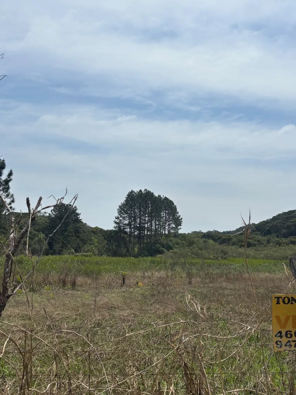 Terreno Lagoa Grande - Embu Guaçu  - Foto 2