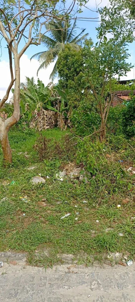 Vende se um terreno em Dias D'Ávila BA  - Foto 3