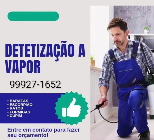 J&R lavagem a seco, dedetização a vapor e muito mais vem  - Foto 2