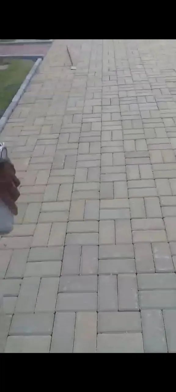 Preciso de profissional com experiência em calçamento 