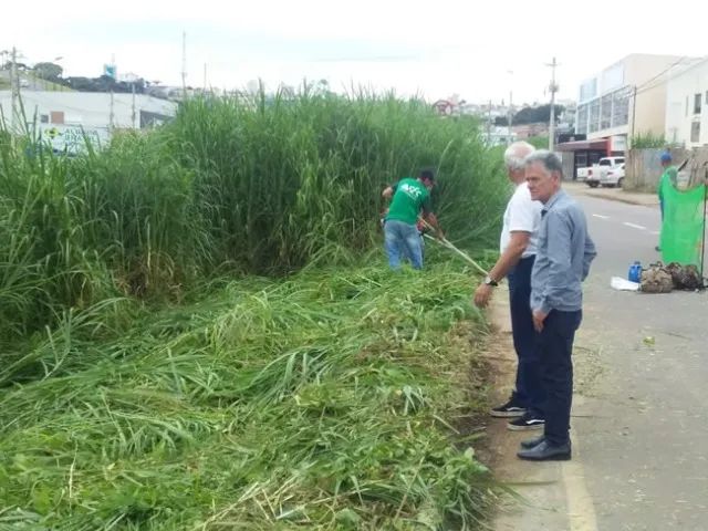Jardineiro_Serviços de Jardinagem - Foto 4