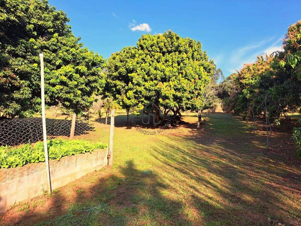 Sítio com 24.200,00 m² à venda em Morungaba. - Foto 3